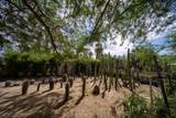 66790 Martinez Road - Photo 117