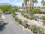 66790 Martinez Road - Photo 4