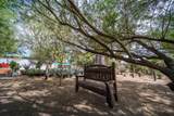 66790 Martinez Road - Photo 52