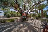 66790 Martinez Road - Photo 61
