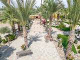 66790 Martinez Road - Photo 73