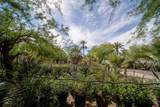 66790 Martinez Road - Photo 80