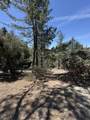 00000 Schaffer Drive - Photo 13