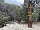 00000 Schaffer Drive - Photo 2