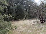 00000 Schaffer Drive - Photo 6