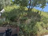3800 Knobhill Drive - Photo 8