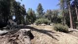 25235 Nestwa Trail - Photo 10