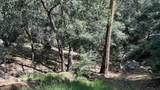 25235 Nestwa Trail - Photo 2
