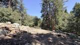 25235 Nestwa Trail - Photo 5