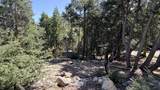 25235 Nestwa Trail - Photo 6