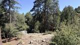 25235 Nestwa Trail - Photo 7