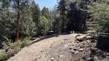25235 Nestwa Trail - Photo 8