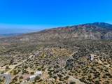 Lot 16 Carrizo Road - Photo 15