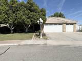 228 Shaded Palm - Photo 1