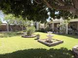 228 Shaded Palm - Photo 17