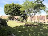228 Shaded Palm - Photo 18