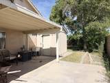 228 Shaded Palm - Photo 19