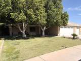 228 Shaded Palm - Photo 2