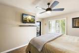 45421 Lupine - Photo 19