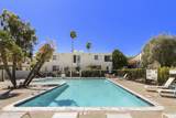 45421 Lupine - Photo 28