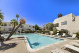 45421 Lupine - Photo 3