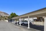 45421 Lupine - Photo 30