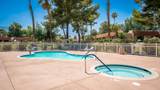 35526 Feliz Court - Photo 38