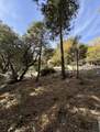53642 Jeffrey Pine Court - Photo 4
