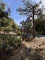53642 Jeffrey Pine Court - Photo 8