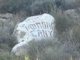 48980 Big Morongo Canyon Road - Photo 8