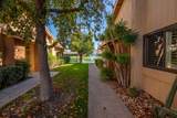 49 Conejo Circle - Photo 43