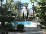 353 Via Escuela - Photo 19