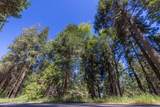 Lot 78 Cedar Pines Drive - Photo 1