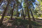 Lot 78 Cedar Pines Drive - Photo 6