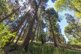 Lot 78 Cedar Pines Drive - Photo 8