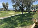 74637 Mexicali Rose - Photo 12