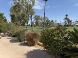 74637 Mexicali Rose - Photo 14