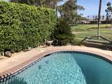 74637 Mexicali Rose - Photo 5