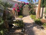 74637 Mexicali Rose - Photo 7