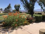 74637 Mexicali Rose - Photo 8