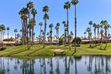 76651 Begonia Lane - Photo 45