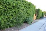 68950 Tortuga Road - Photo 5
