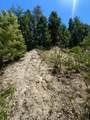 0 Grass Valley Road - Photo 3