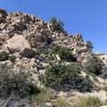5850 Cactus Canyon Trail - Photo 10