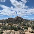 5850 Cactus Canyon Trail - Photo 12