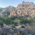 5850 Cactus Canyon Trail - Photo 13