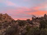 5850 Cactus Canyon Trail - Photo 3