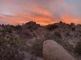 5850 Cactus Canyon Trail - Photo 4