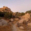 5850 Cactus Canyon Trail - Photo 5