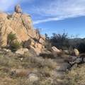 5850 Cactus Canyon Trail - Photo 8